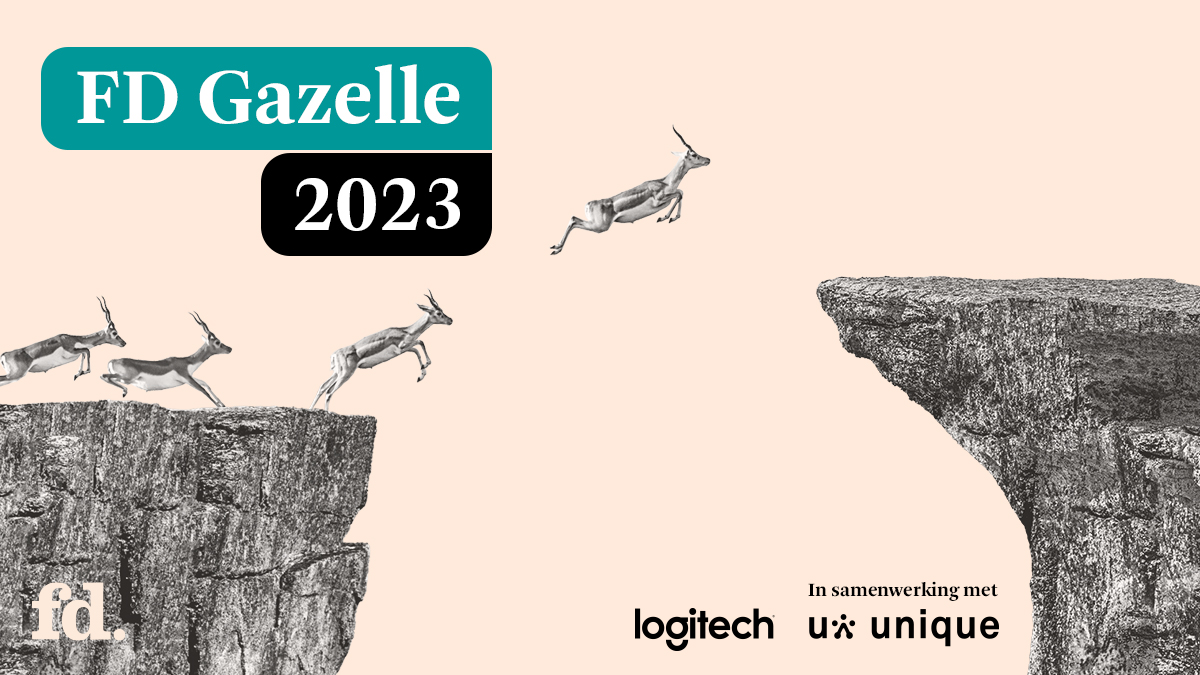 fd gazelle 2023 media